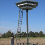 De kroon weer op het werk