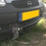 Aanrijding/Aanvlieging?